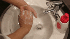 按期对校内饮用水