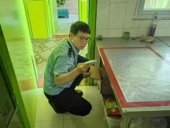 更是一次活泼的责